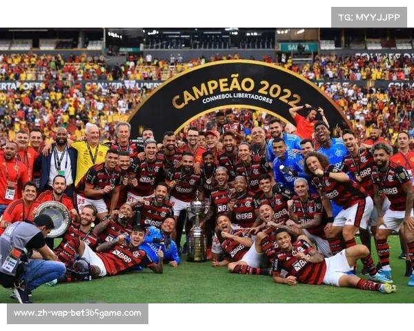 南美解放者杯基尔普埃客场告负